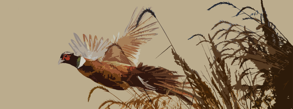 Pheasant Banner